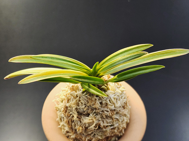 경하