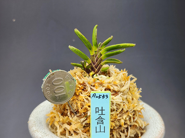 토함산