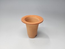 재배분(창분3호, 투명)