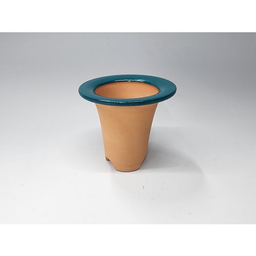 고급 재배분(창분3호) 그린